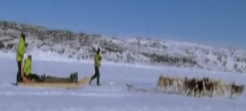 iqaluit dog sled 3